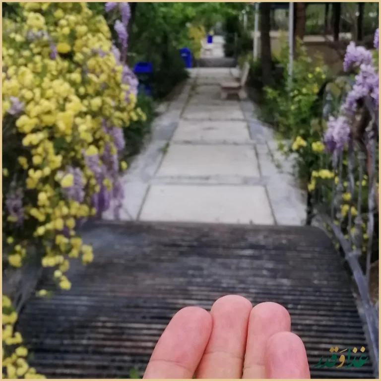 باغ رستوران ریحانه