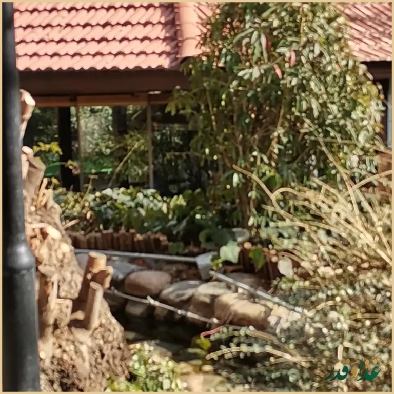 رستوران اسپیو