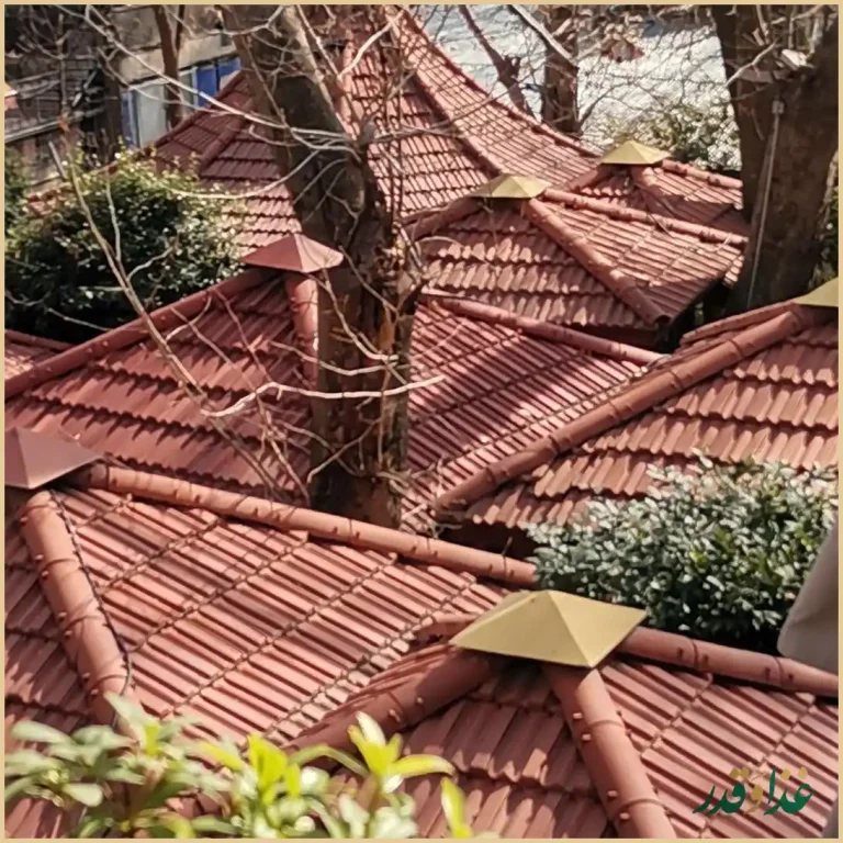 رستوران اسپیو