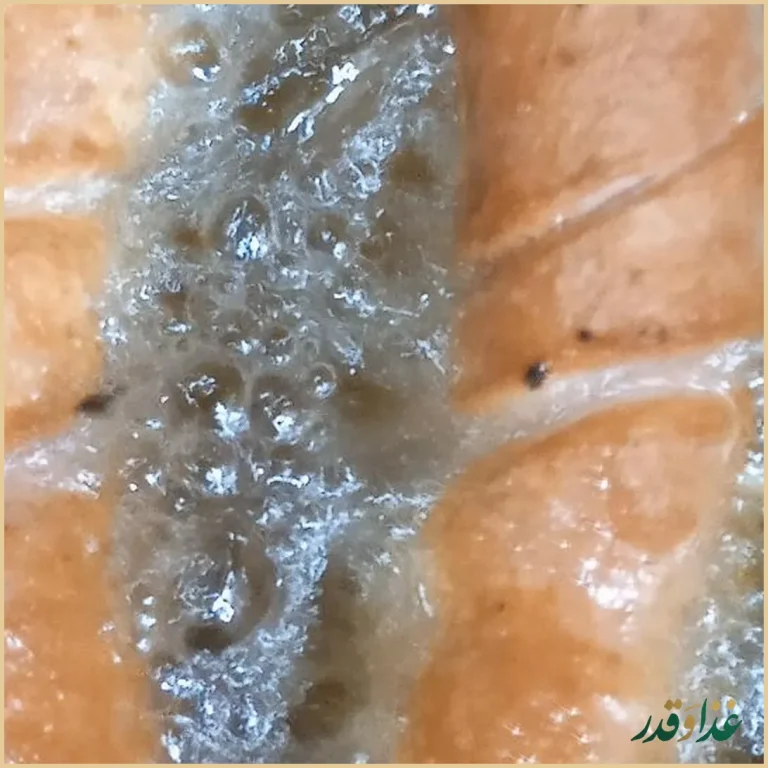 فلافل نون و نمک