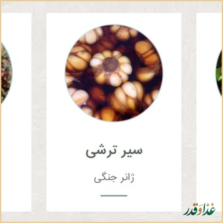 رستوران کافه ارکیده شعبه آرژانتین