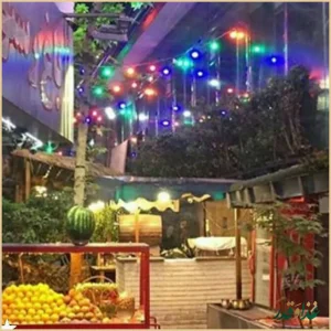 رستوران صفا