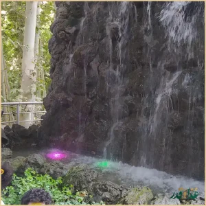 رستوران ارکیده