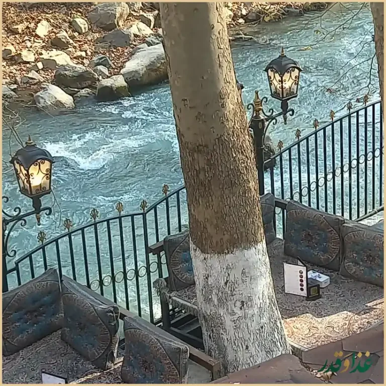 رستوران ارکیده