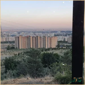 رستوران چلت