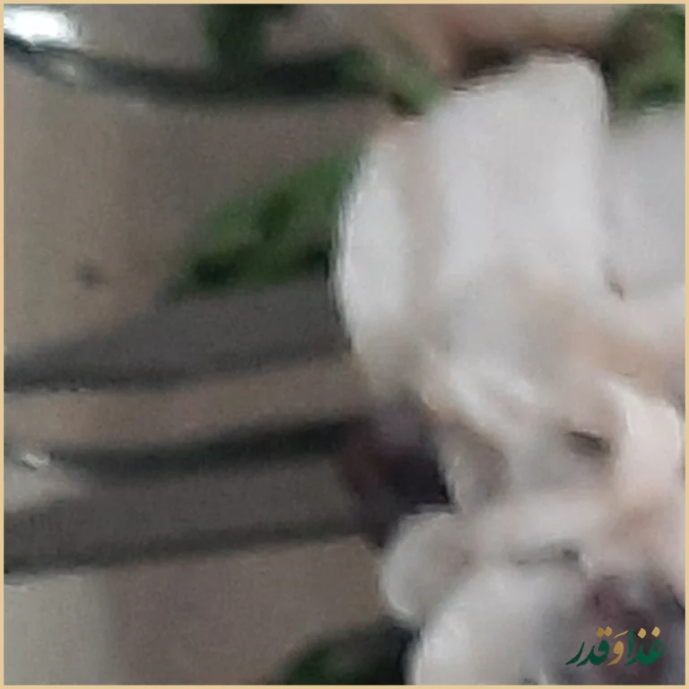 جگرسرای سلطان