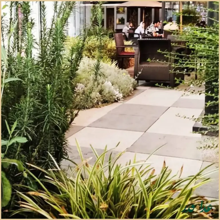 کافه رستوران ویونا پلاس