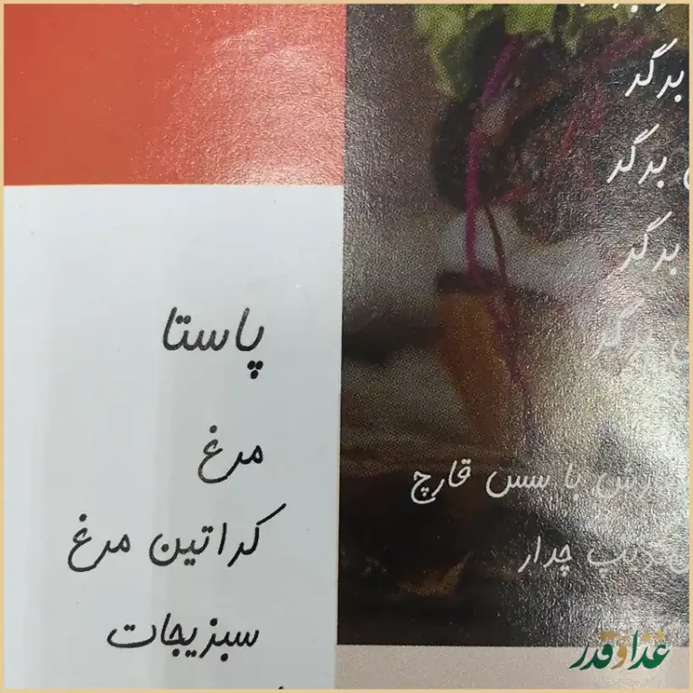 تهیه غذای چاشنی