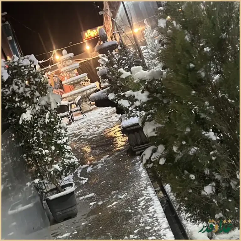 جگرکی هامون