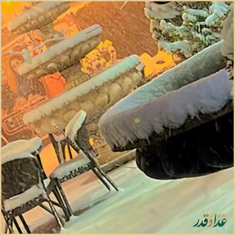 جگرکی هامون