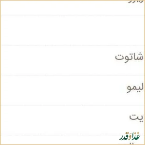 فست فود شبانه پلچینو