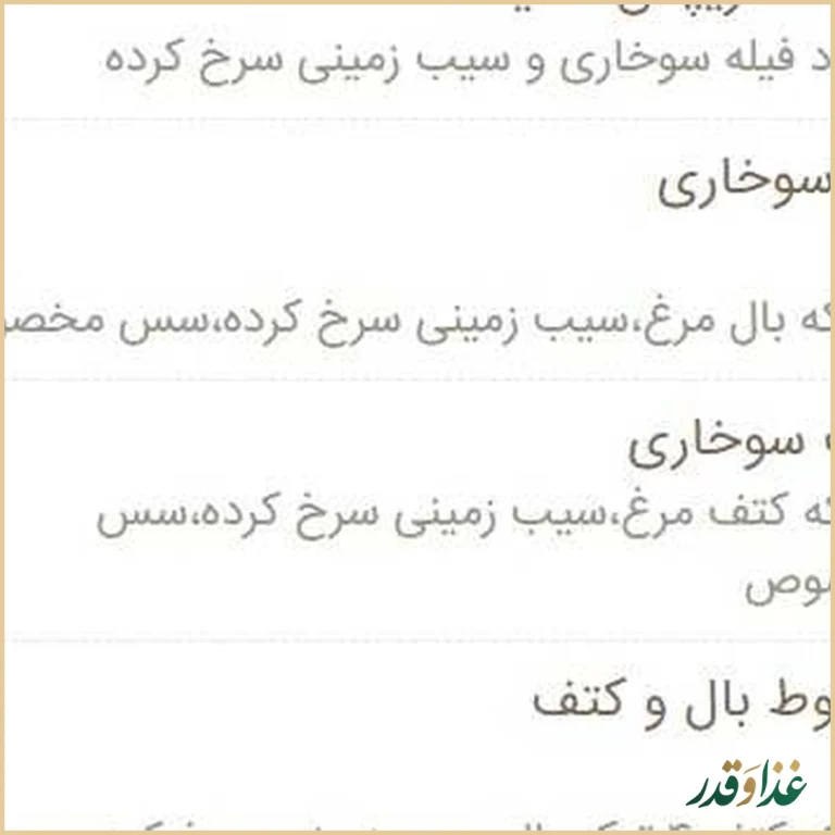 فست فود شبانه پلچینو