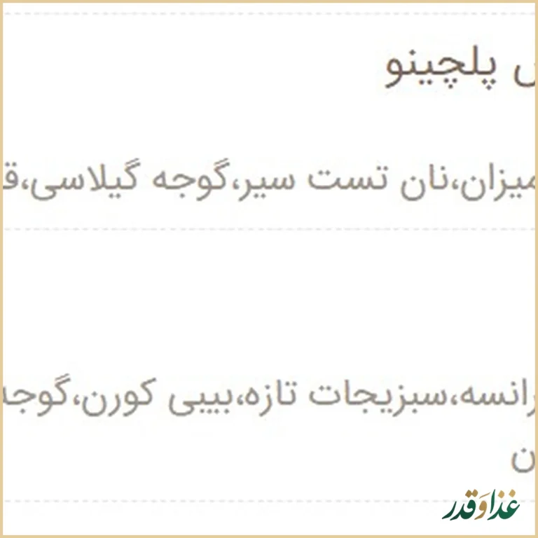 فست فود شبانه پلچینو