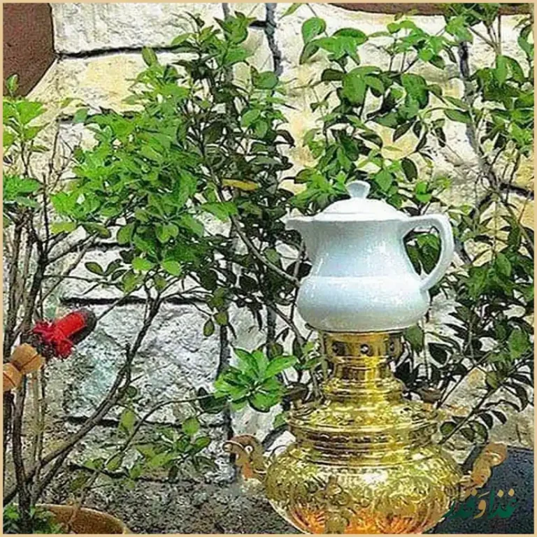 رستوران شوگار