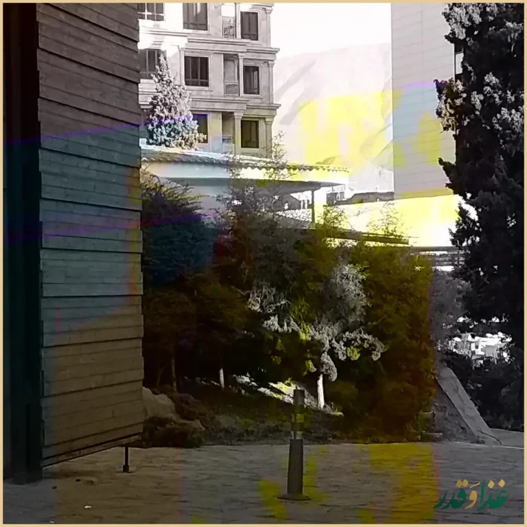 رستوران پدرا