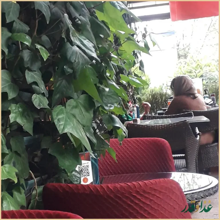 کافه رستوران فلورانس