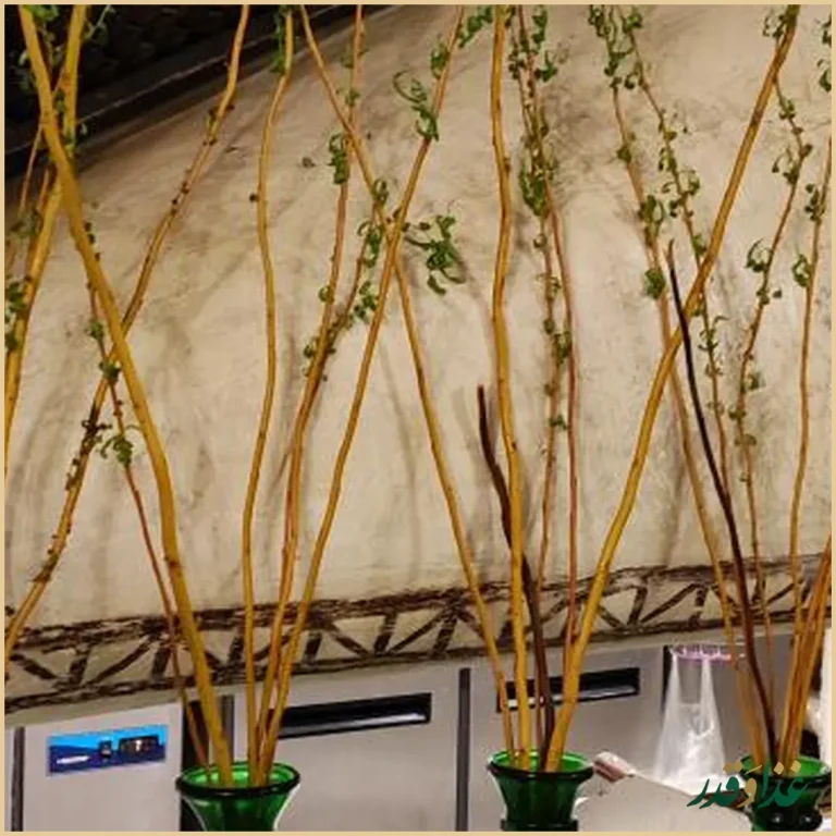 عمارت سین هشتم