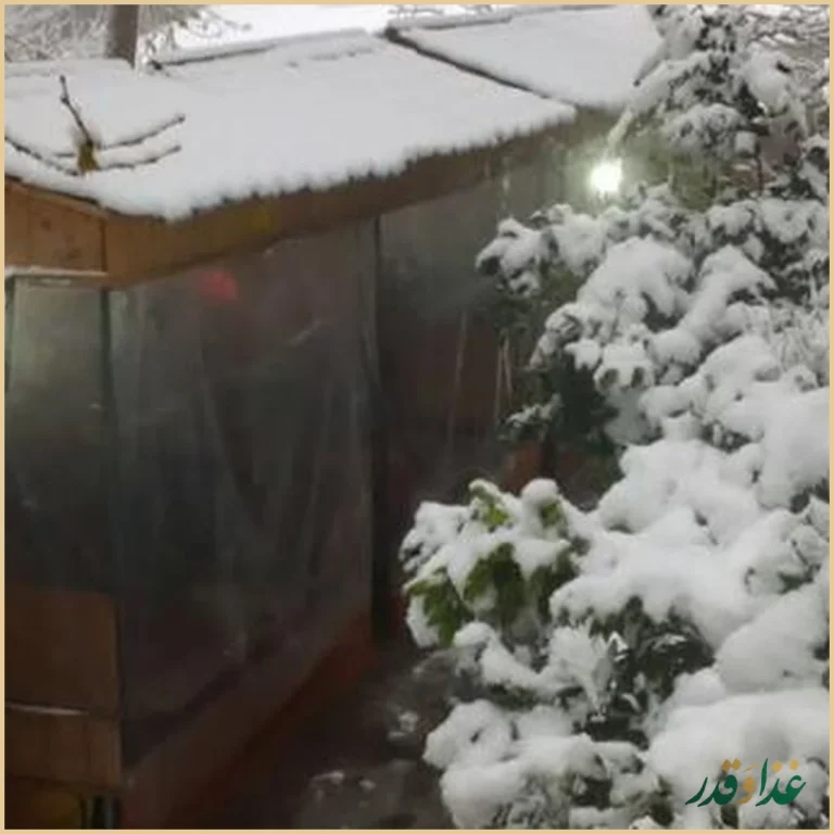 باغ رستوران بام دربند