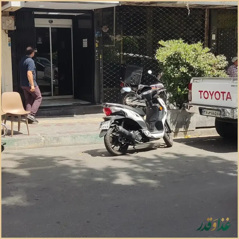 چلوکبابی ارکیده