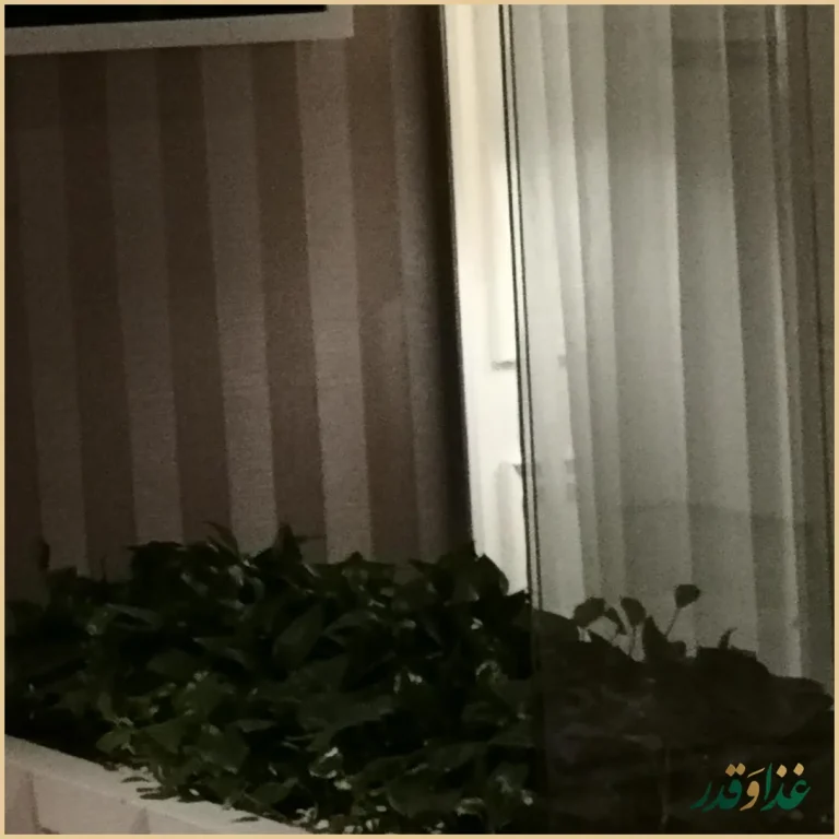 رستوران بین المللی لاتون