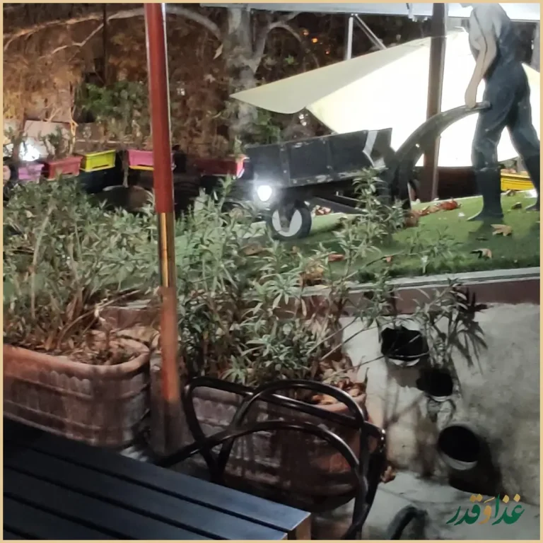 کافه رستوران داریما