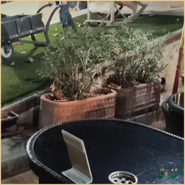 کافه رستوران داریما