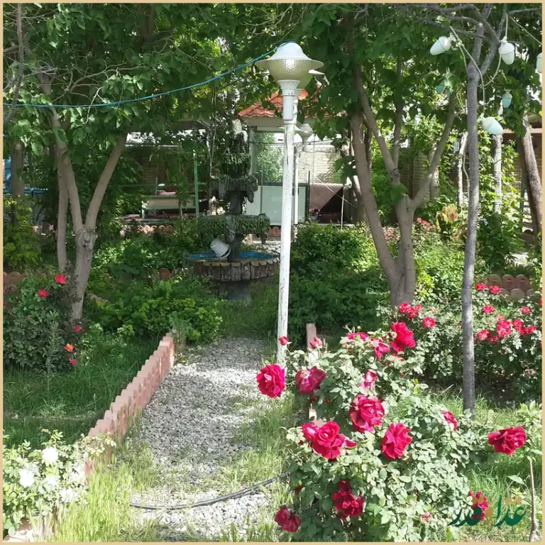 باغچه رستوران سعید