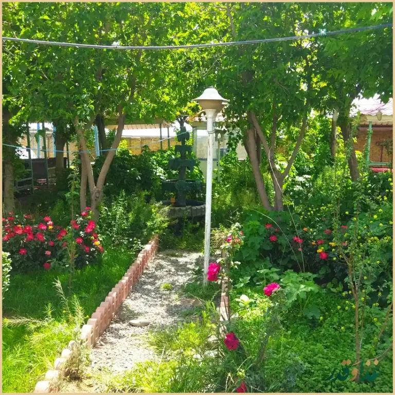 باغچه رستوران سعید