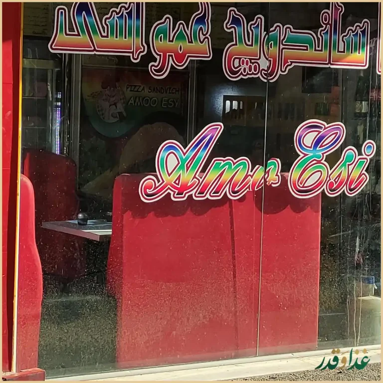 پیتزا ساندویچ فلافل عمو اسی