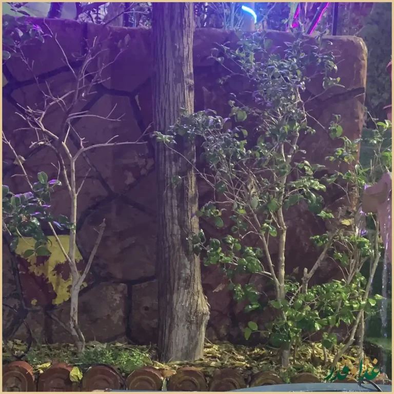 رستوران شبهای تهران