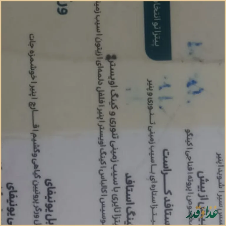 رستوران وگان وگشیم