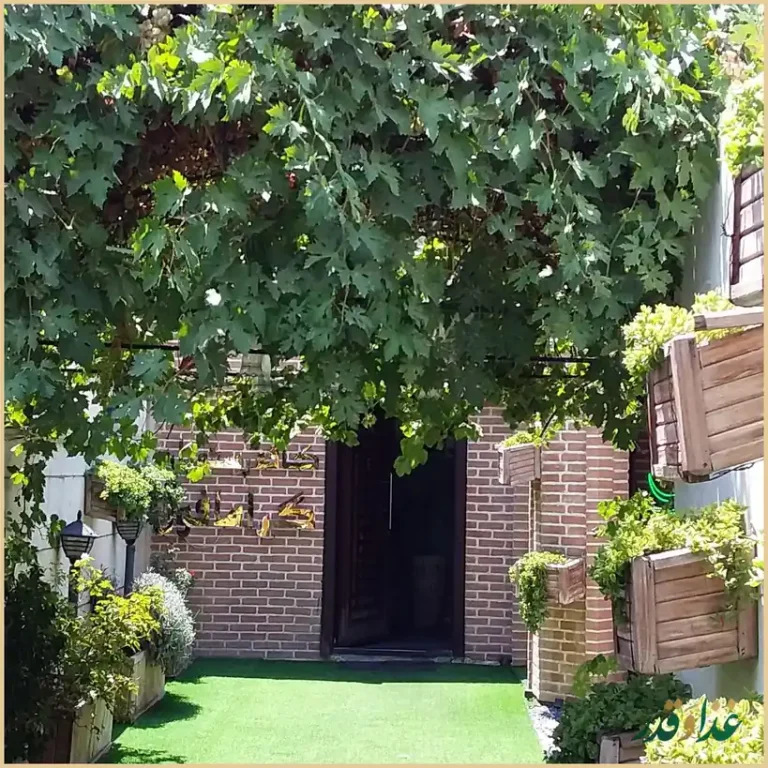 کافه رستوران گرامافون