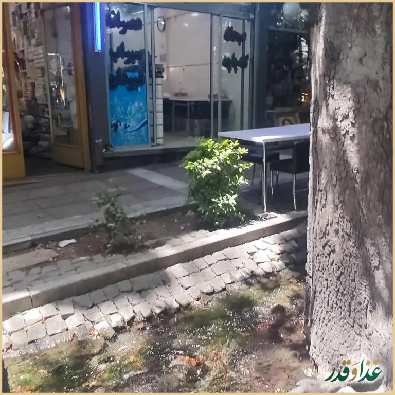 طباخی‌‌پارک‌وی