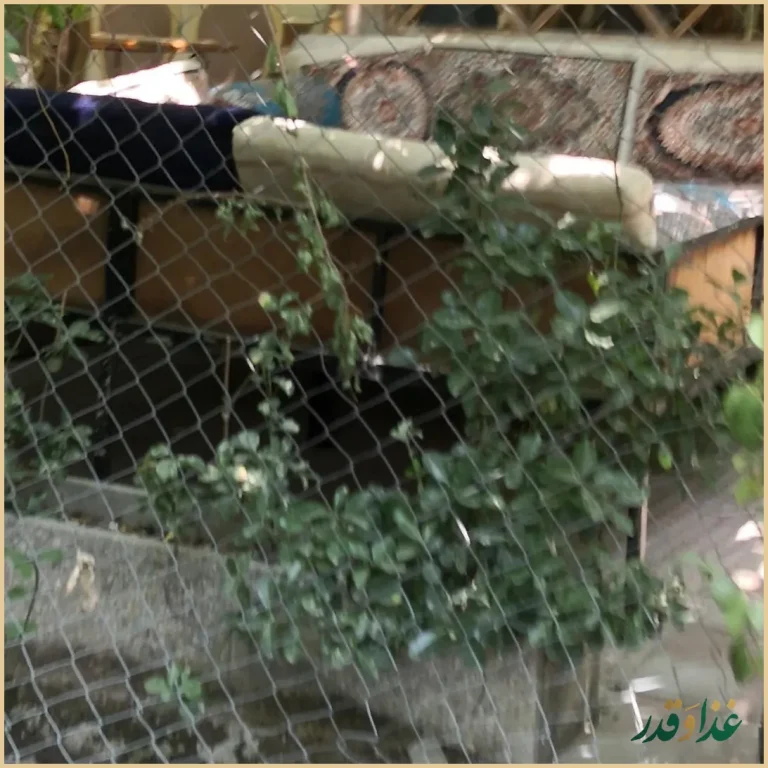 باغ رستوران شب زدگان