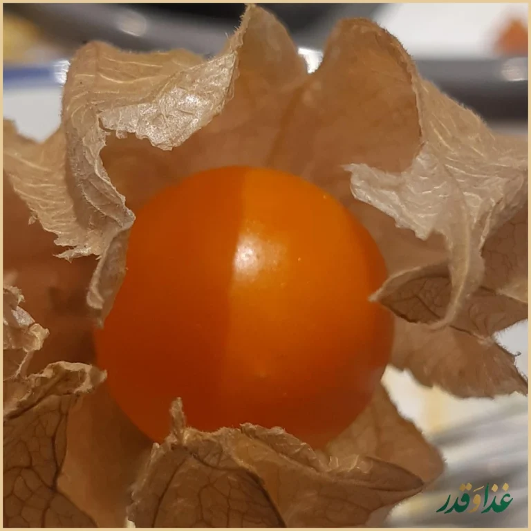 کافه رستوران دست