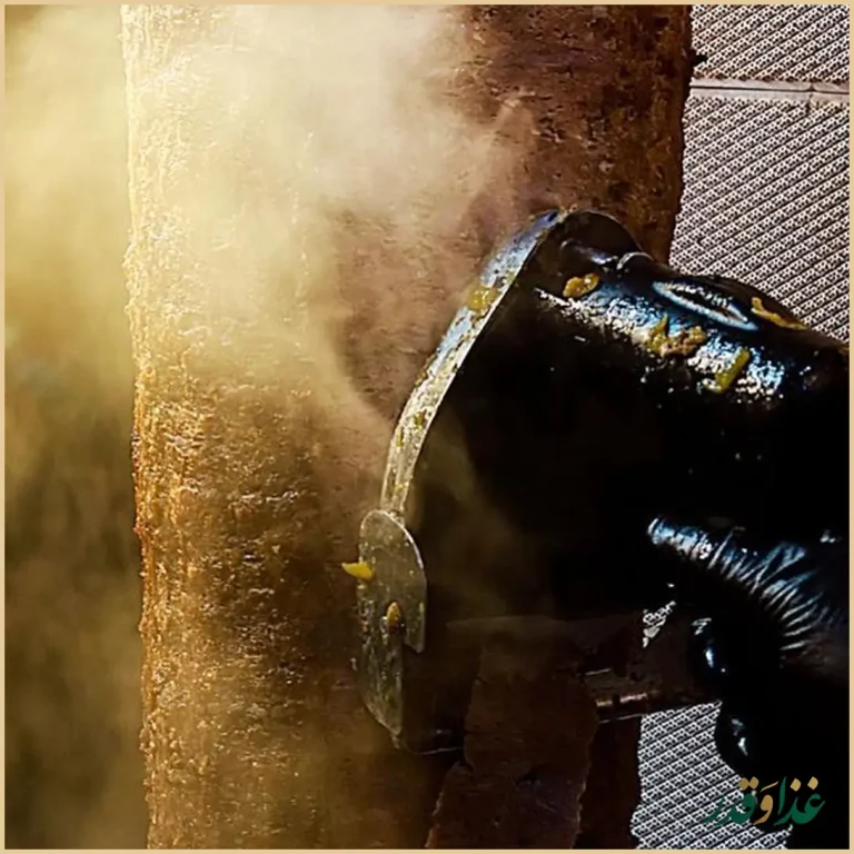 فست فود بمب سعیدی