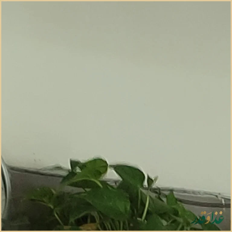 آشپزخانه برادران