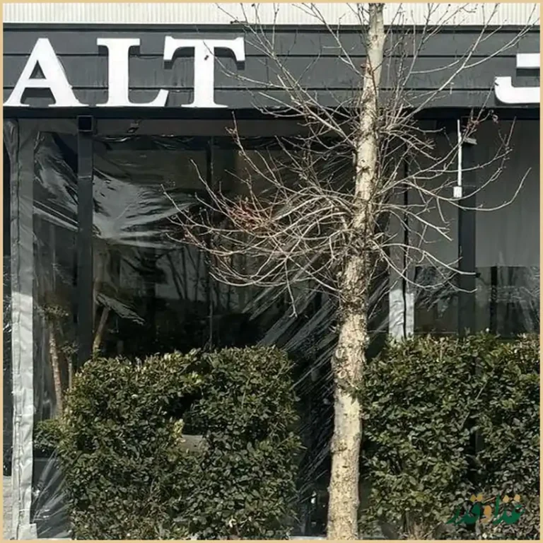 کافه رستوران سالت