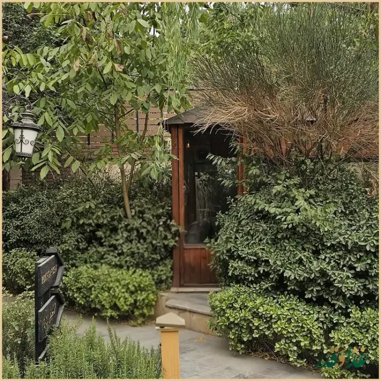 رستوران لوکاس