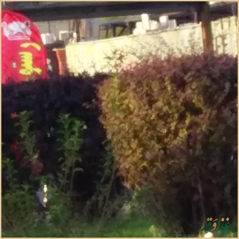 رستوران سنتی دهکده