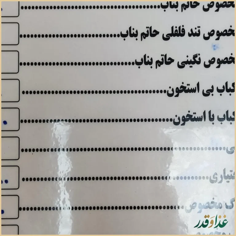 کباب حاتم بناب