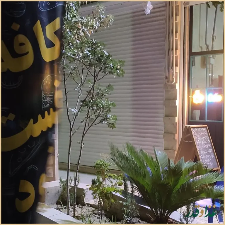 فست فود واچیش