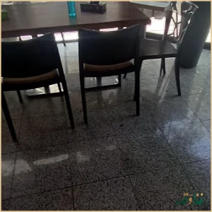 پیتزا سیب ۳۶۰