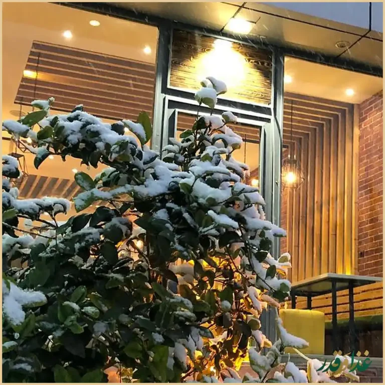 پیتزا تنوری پاروت