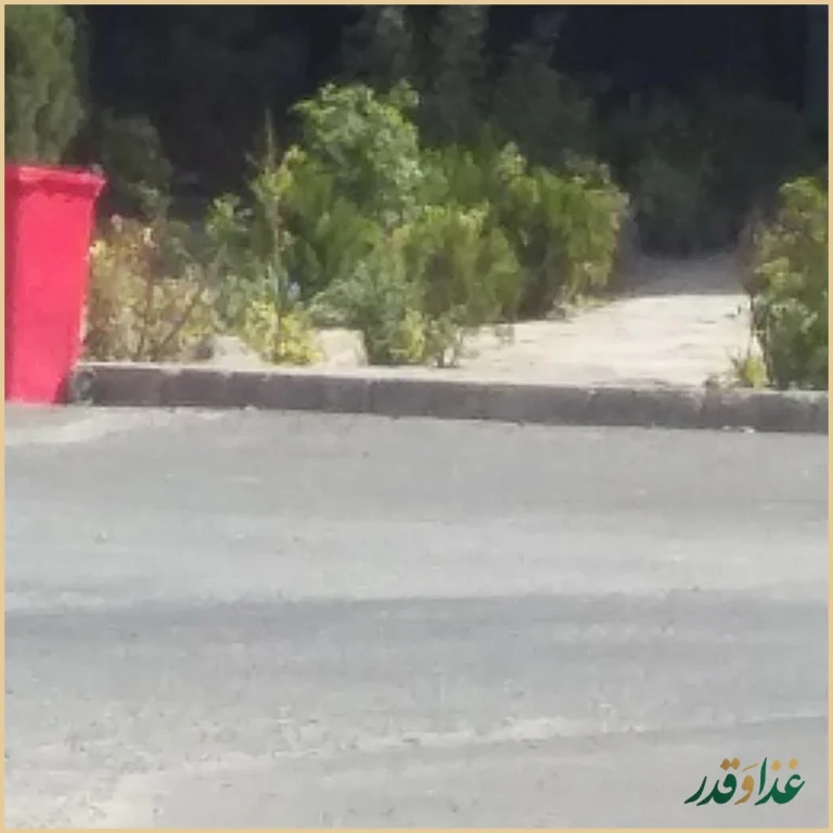 خان برگر عظیمیه