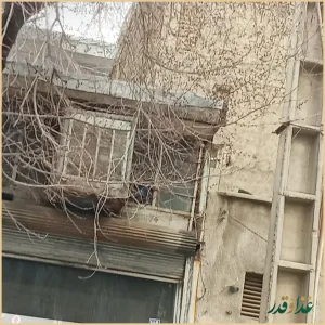 طباخی سحر