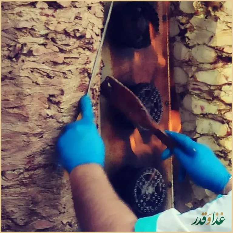 کباب ابوعلی