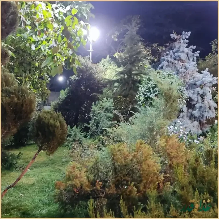 باغ رستوران باران