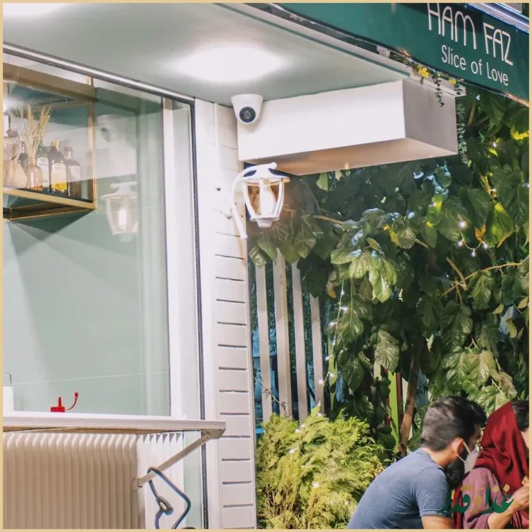 پیتزا هم فاز