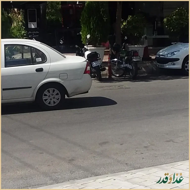 رستوران نیلز